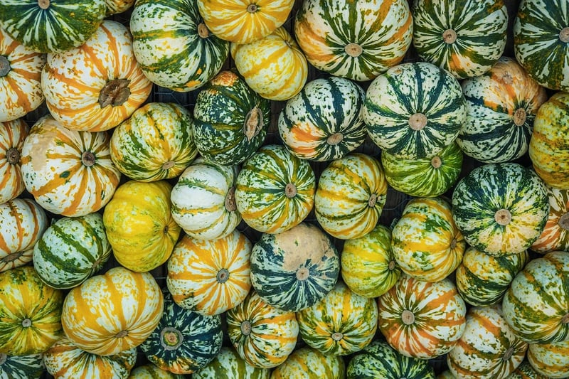 Air-purifying varieties