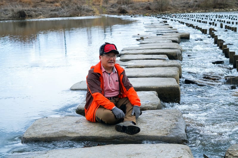 DIY Stepping Stones