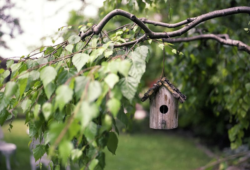Birdhouse and Feeder